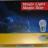 HELLA 8GA006841801 Magic Light Лампочки 2шт. PY21W 12V 21W  (серебристый дизайн).